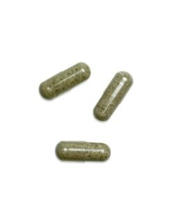 Shroomies Microdose Psilocybin Capsules (3000mg)