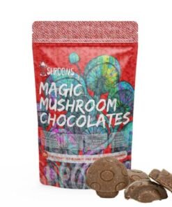 Amazonian Magic Mushroom Chocolate